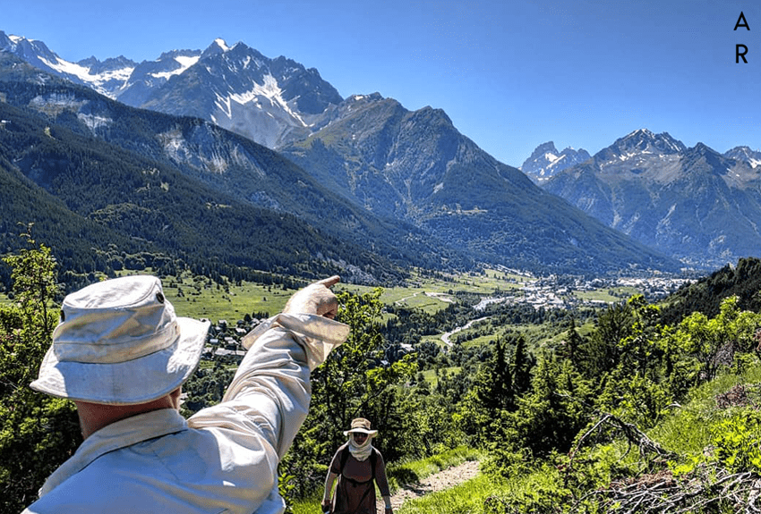 mountain alp yoga retreats